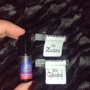 stella added a photo of their purchase