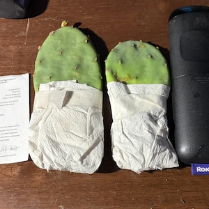 Cathy added a photo of their purchase