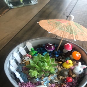 robin added a photo of their purchase