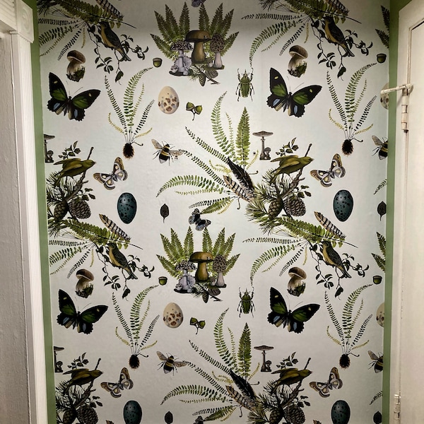 Navy Beetle Wallpaper: Eclectic Insect Mural, Removable Wallpaper - Etsy