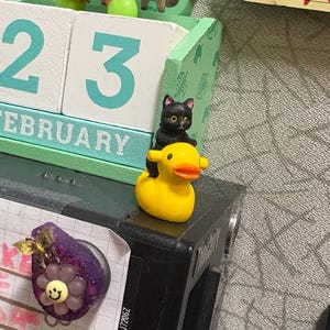 Angie added a photo of their purchase