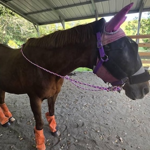 Allison added a photo of their purchase