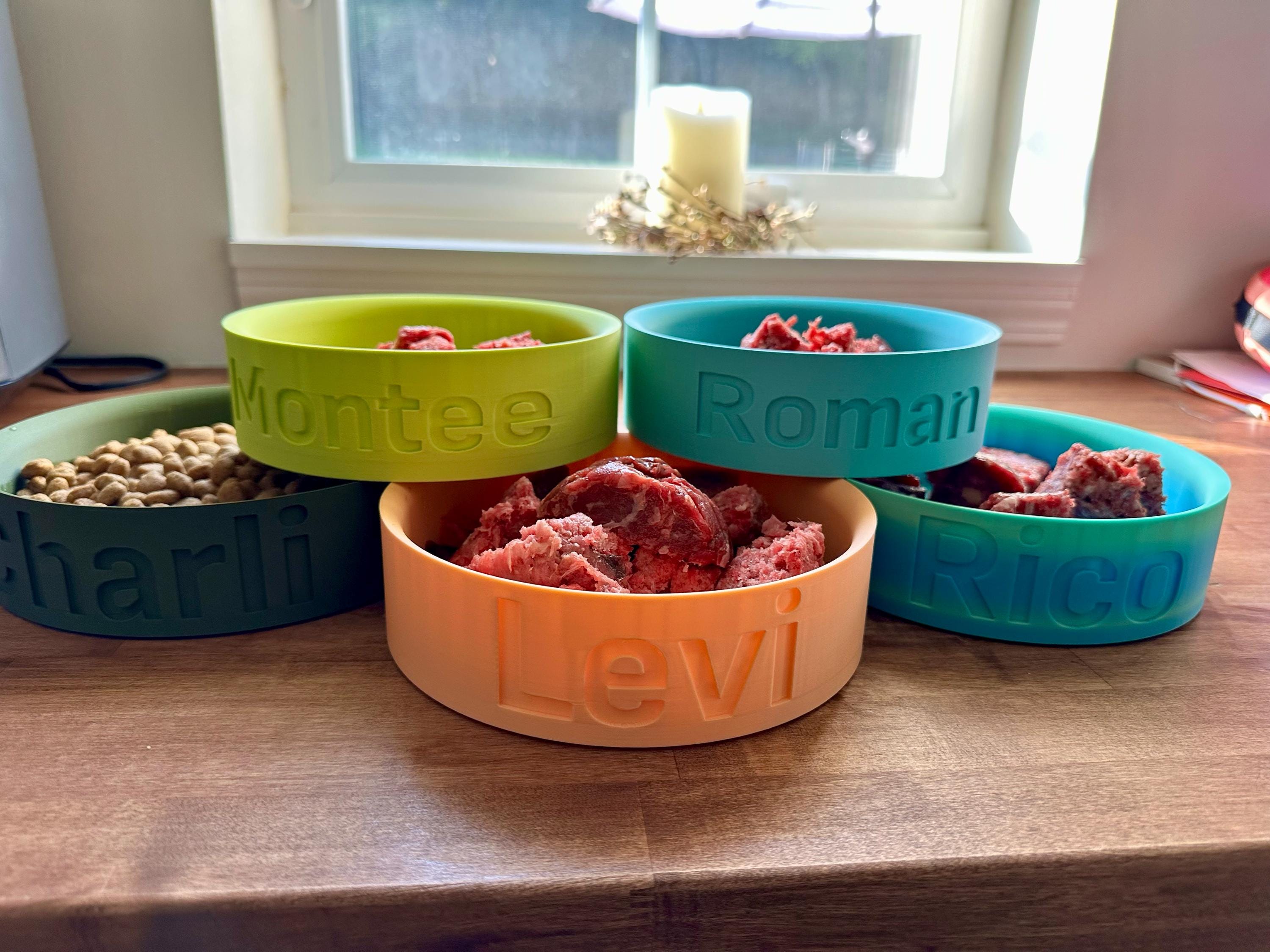 Custom 3D Printed Bowl Custom Dog Bowl, Cat Bowl, Custom Pet Bowl, Modern Pet Dish, Modern Pet Bowl, Pet Bowl Engraved, Colorful Pet Bowl