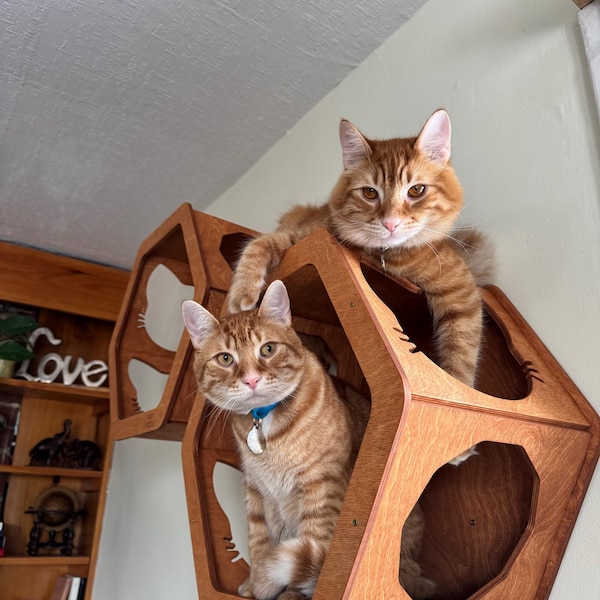 Cat Wall Shelves For Entry Foyers photo