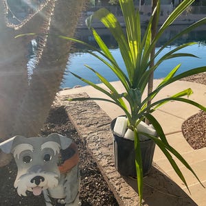 Jeannie added a photo of their purchase