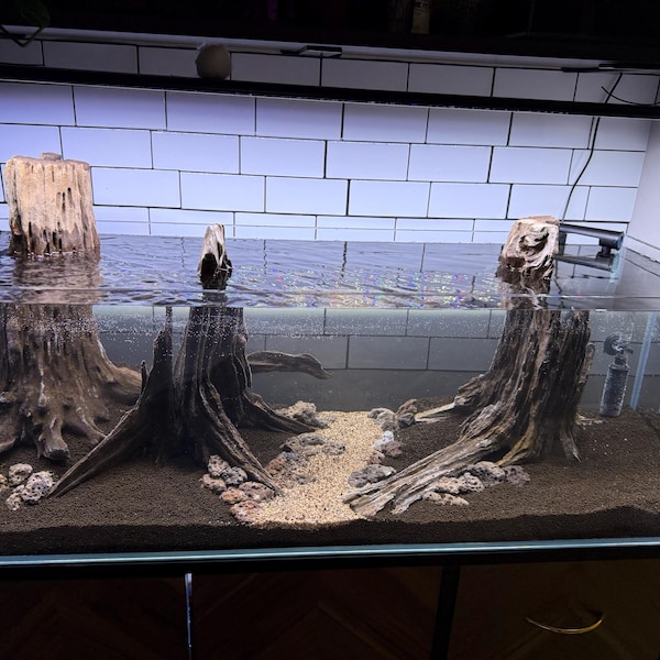 Aquarium Tree Stump Driftwood Bonsai Drift Wood Root Decor Fish Tank - Etsy