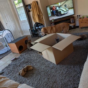Clare added a photo of their purchase