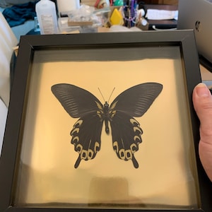 Laura added a photo of their purchase