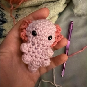 Amanda added a photo of their purchase