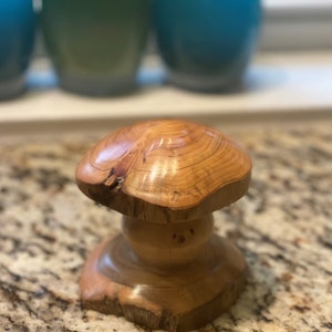Comprador de Etsy ha añadido una foto de su compra