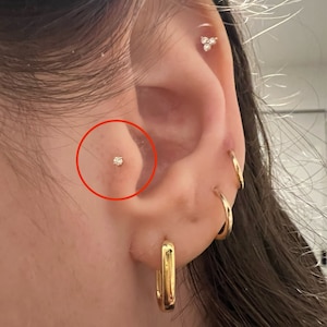 Col added a photo of their purchase