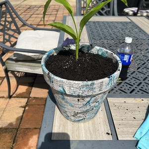 Donette added a photo of their purchase