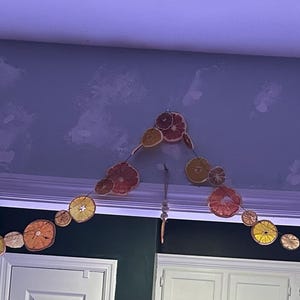 Dried Citrus Garland