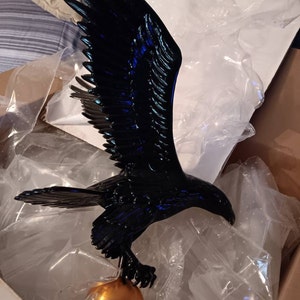 Joyce added a photo of their purchase