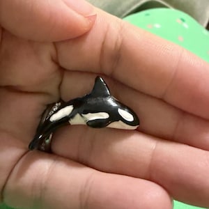 Allison added a photo of their purchase