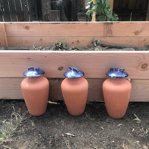 Tarra ha añadido una foto de su compra