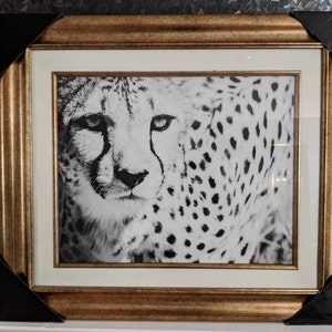 Ann added a photo of their purchase