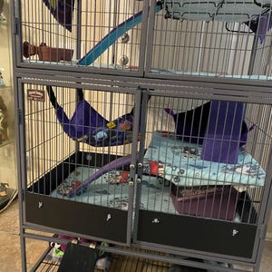 Stacey added a photo of their purchase