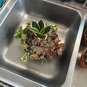 Jeffery added a photo of their purchase