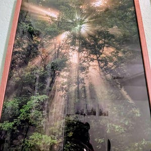 Danielle added a photo of their purchase