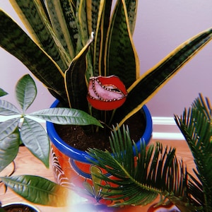 Holly added a photo of their purchase