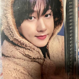 Stray Kids Teddy Bear Themed Photocards (karma Album PC