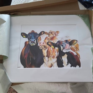 Inactive account added a photo of their purchase