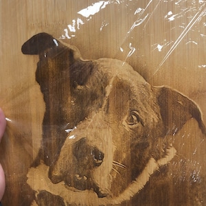 Etsy buyer added a photo of their purchase