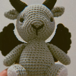 Dani added a photo of their purchase