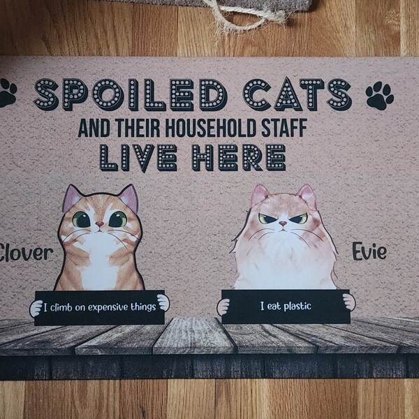 Cat Door Funny Welcome Door Mats Decorative Rugs For Entrance Way