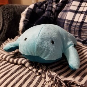 Darcy ha añadido una foto de su compra