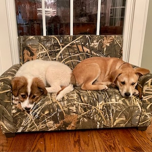 Sharon added a photo of their purchase