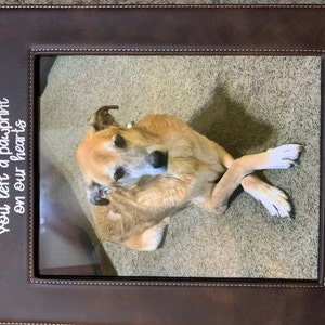 Shelly added a photo of their purchase