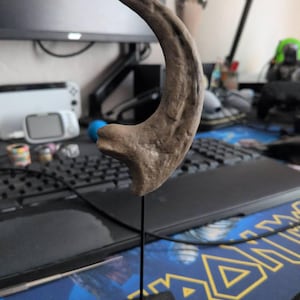 Alison a ajouté une photo de son achat