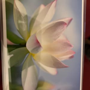 Meg added a photo of their purchase