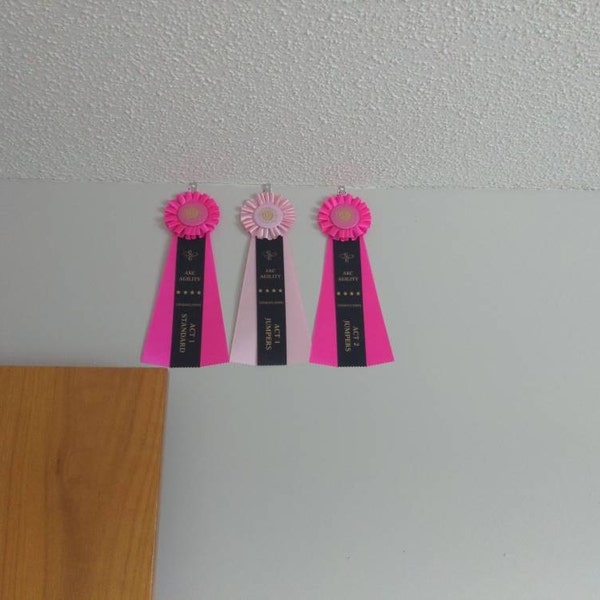 AKC ACT Agility Course Test Title Ribbon Rosette - ACT 1 2 Jumpers ...