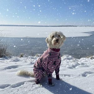Katrin added a photo of their purchase