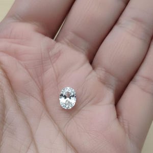 NM さんが購入した商品の写真を追加しました
