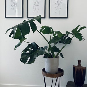 Caitlin added a photo of their purchase
