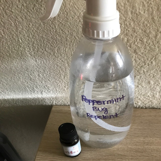 Peppermint Barnhouse Blue Premium Grade Fragrance Oil Etsy