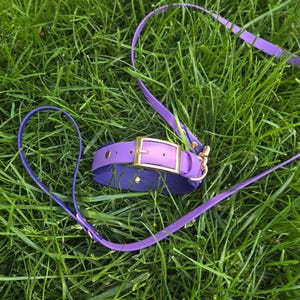 Katilyn added a photo of their purchase