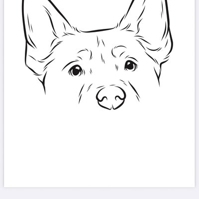 Custom Pet Ear Outline Drawing Dog Ear Drawing Pet Ear - Etsy
