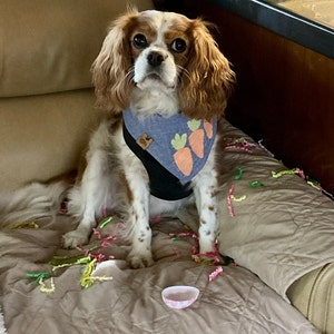 Whaline Mexican Dog Bandana Floral Dog Bandana Cinco De Mayo Fiesta Pet