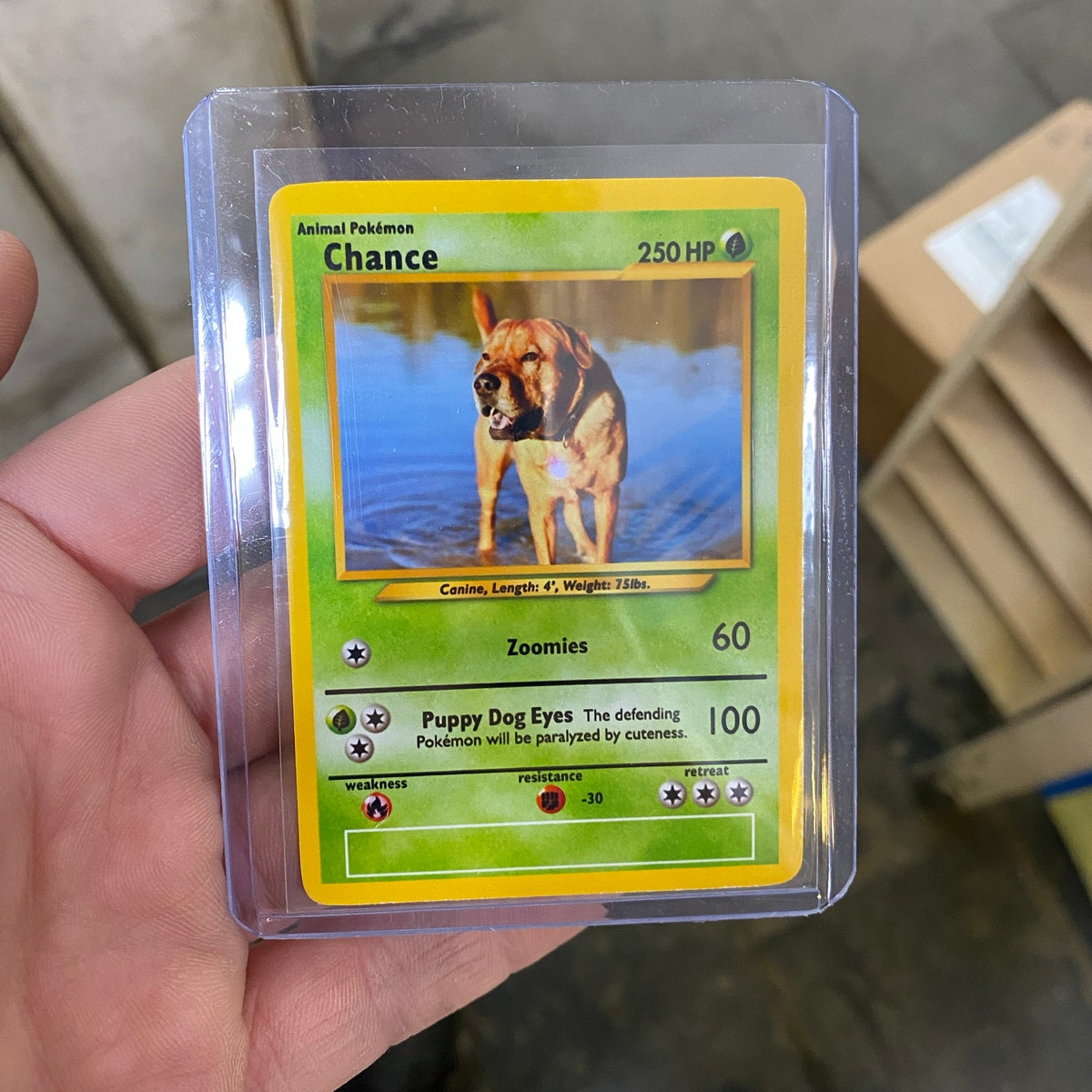 Customer review card