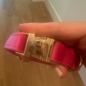 Camey added a photo of their purchase