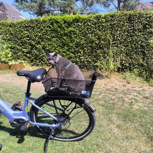 nadia added a photo of their purchase