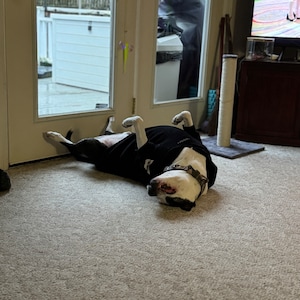 Terri added a photo of their purchase