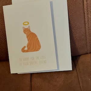 Dippy added a photo of their purchase