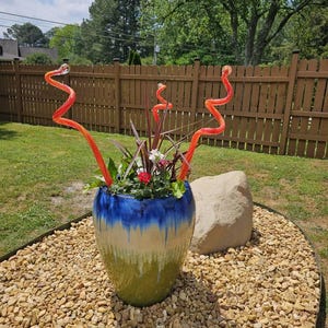 Nicole added a photo of their purchase