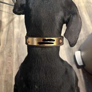 Morgan ha añadido una foto de su compra